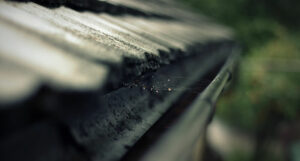 Guttering with a cobweb in