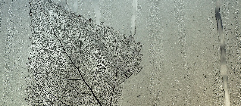 Glass condensation